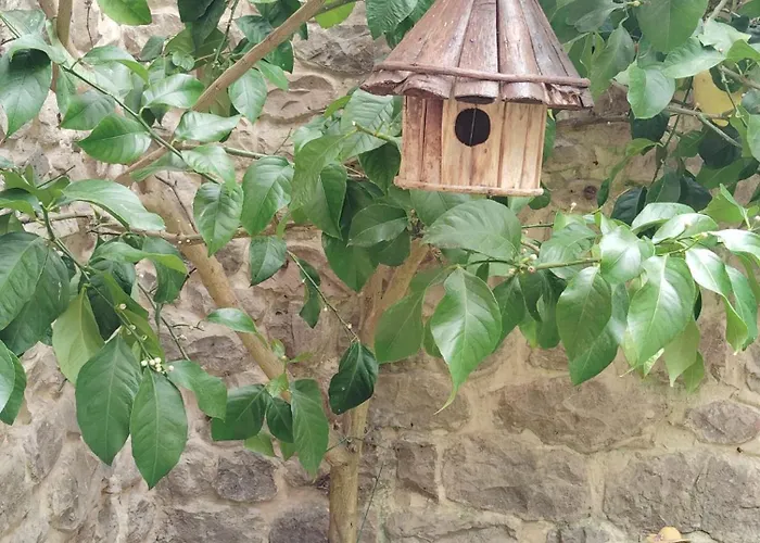 El Limonero * Arenas De Iguna